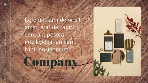 Office Desk Professional PPT