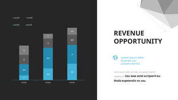 Polygon Background Business Presentation PowerPoint Slides_05