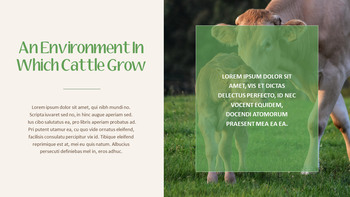 牛 スライドPPT_05