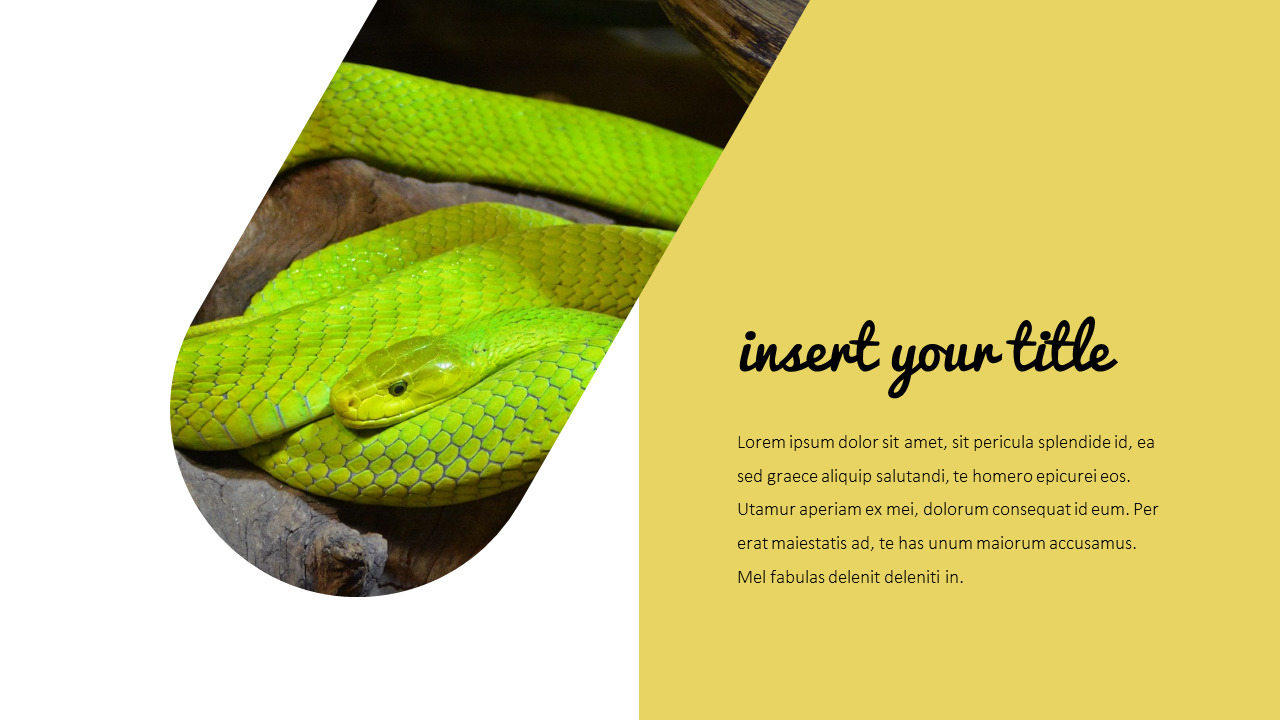 Snake Presentation PowerPoint|Lifestyle|Templates