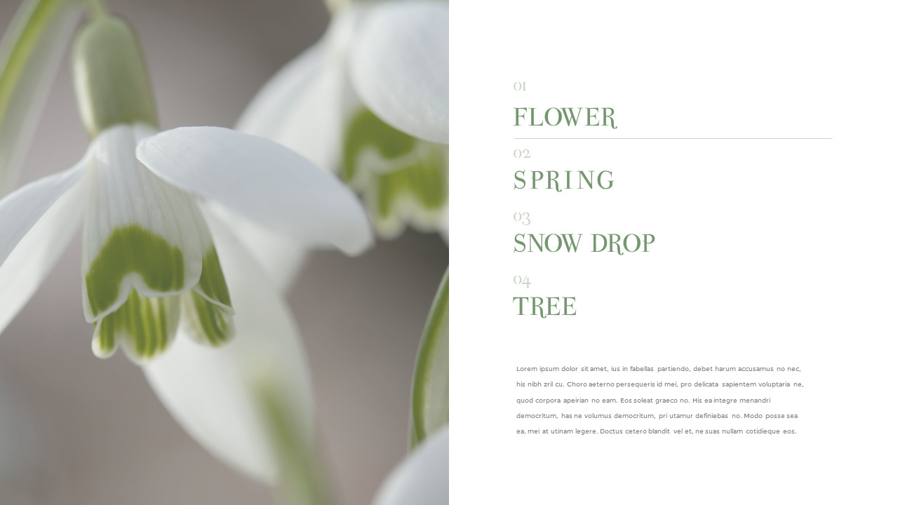 스노우 드롭 테마 템플릿_03