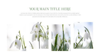 스노우 드롭 테마 템플릿_08