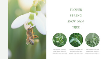 스노우 드롭 테마 템플릿_10