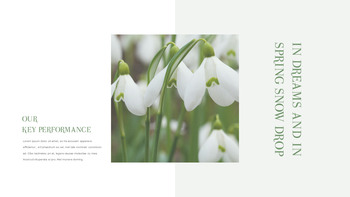 스노우 드롭 테마 템플릿_15