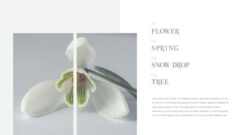 스노우 드롭 테마 템플릿_18