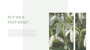 스노우 드롭 테마 템플릿_25