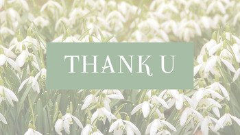 스노우 드롭 테마 템플릿_34