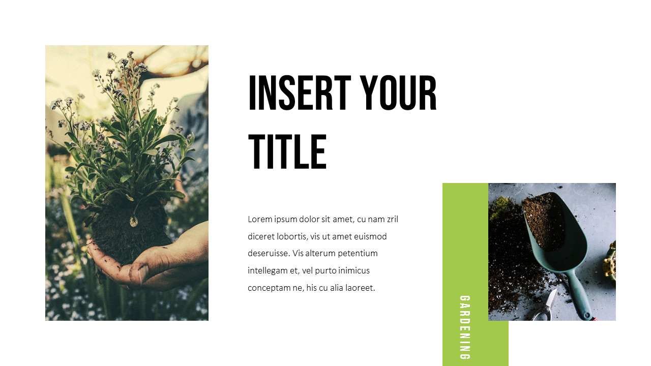 원예 PPT 모델_03