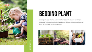 원예 PPT 모델_11