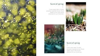 Spring Song Business Presentation Examples_22