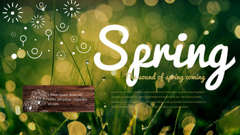 Spring Song Business Presentation Examples_23