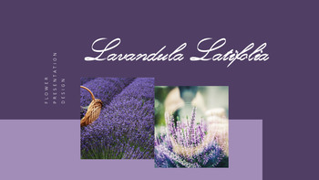 라벤더 프레젠테이션 PowerPoint 템플릿 디자인_08