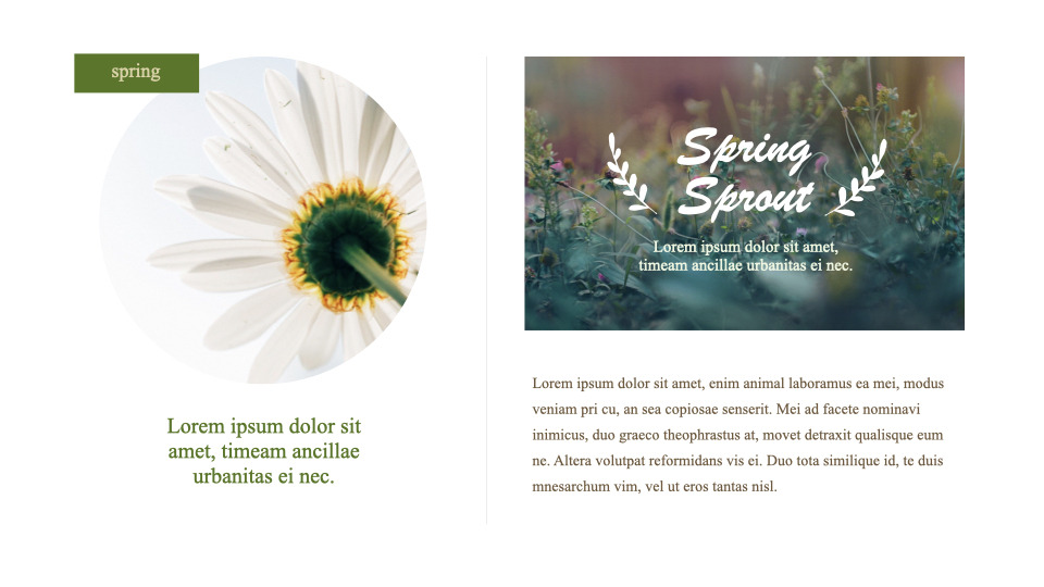 Spring Song Keynote Windows