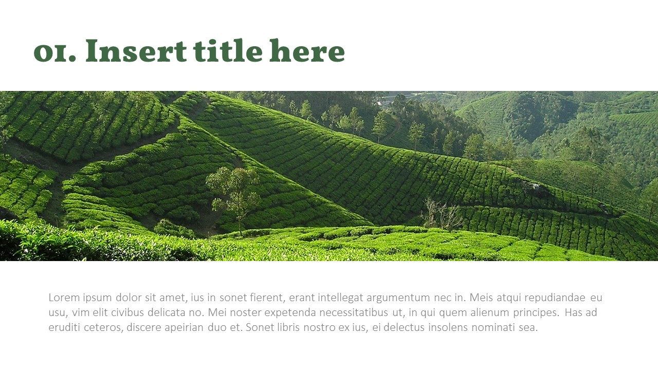 Tea ceremony - Easy PPT Template_03