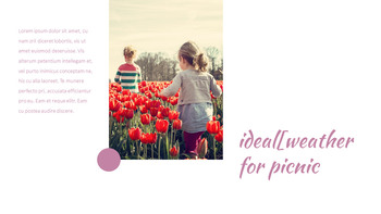 春季野餐 幻灯片模板_15