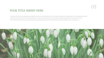 Snow Drop Presentation Google Slides Templates_07