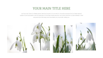 Snow Drop Presentation Google Slides Templates_08