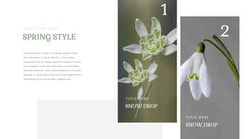 Snow Drop Presentation Google Slides Templates_09