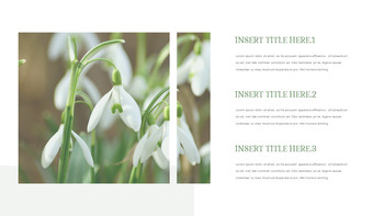 Snow Drop Presentation Google Slides Templates_12