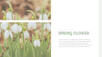 Snow Drop Presentation Google Slides Templates_14