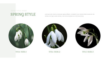 Snow Drop Presentation Google Slides Templates_16