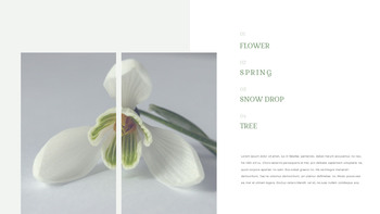 Snow Drop Presentation Google Slides Templates_18