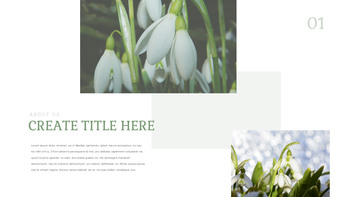 Snow Drop Presentation Google Slides Templates_20