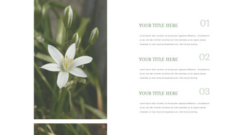 Snow Drop Presentation Google Slides Templates_24