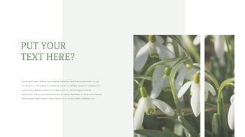 Snow Drop Presentation Google Slides Templates_25