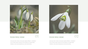 Snow Drop Presentation Google Slides Templates_27