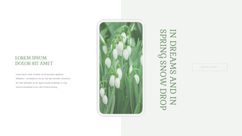 Snow Drop Presentation Google Slides Templates_33