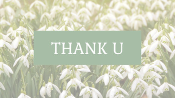 Snow Drop Presentation Google Slides Templates_34