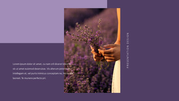 Lavender Google Slides Templates_10