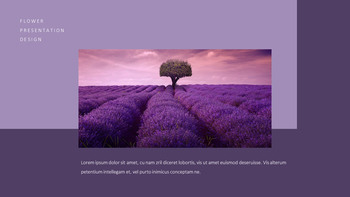 Lavender Google Slides Templates_20