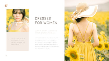 一件连衣裙 商业计划PPT下载_14