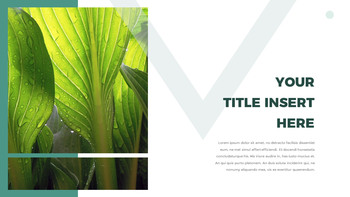 Green Leaves Google Slides for mac_22