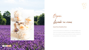 有機アイスクリーム PPTプレゼンテーションのサンプル_19