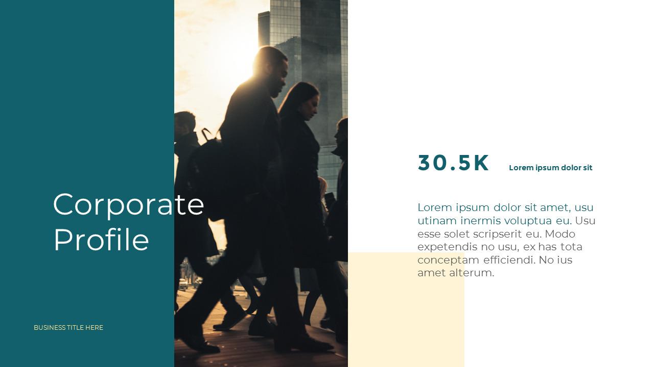 商业宣传册 演示格式_02