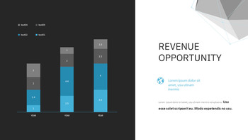 多边形背景业务演示 投资者音高演示文稿PPT_05