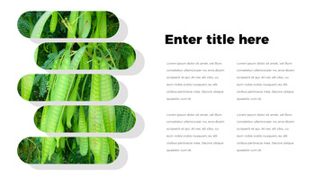 Haricot vert Google Slides pour mac_07