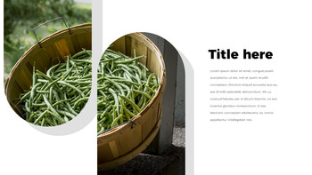 Green Bean Google Slides for mac_25