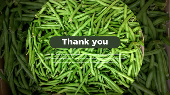 Green Bean Google Slides for mac_40