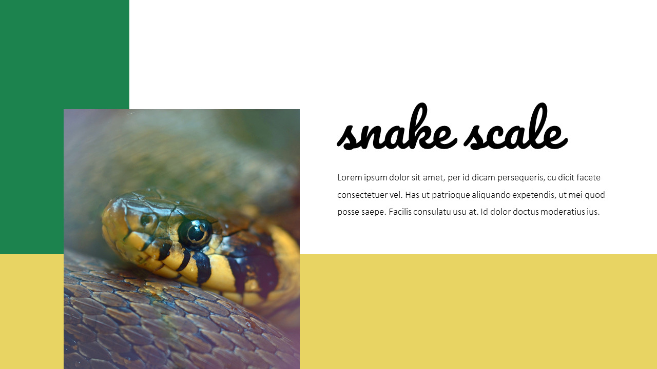 Snake Google Slides Templates