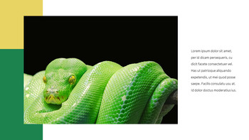 Serpente Google Slides Modelli_26