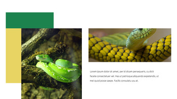 Serpente Google Slides Modelli_29