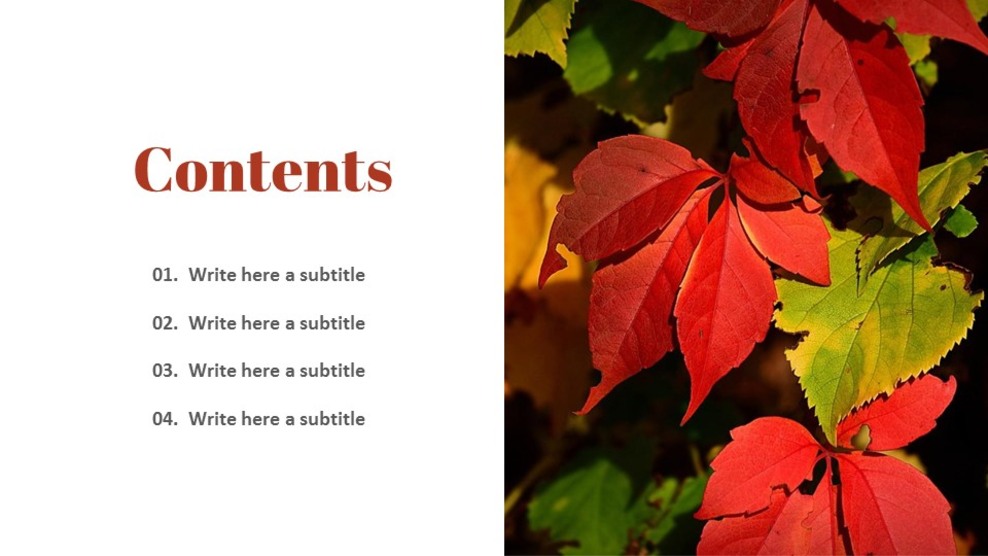 Simple Google Slides Templates Fall in autumn