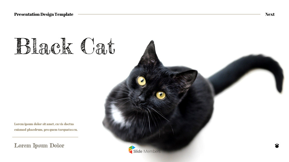 Black Cat slide template_01