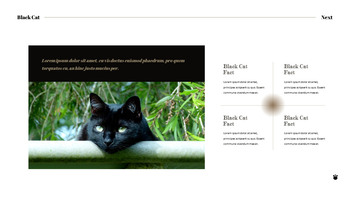 Gato negro plantilla de diapositiva_05