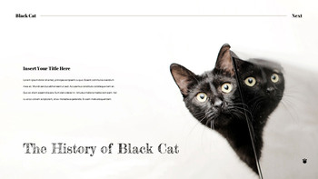 Black Cat slide template_08