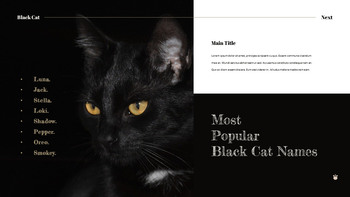 Black Cat slide template_09